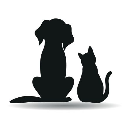 Awesome Product Image